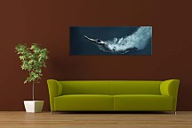 Obraz Panoráma Šport zs298