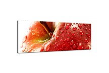 Obrazy do hotela zs363