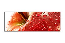 Obrazy do hotela zs363