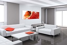 Obrazy do hotela zs363