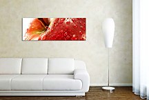 Obrazy do hotela zs363