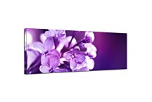 Obraz Panorámy Kvety zs3141