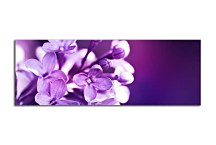 Obraz Panorámy Kvety zs3141