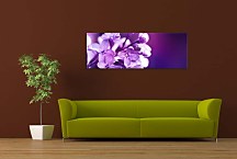Obraz Panorámy Kvety zs3141