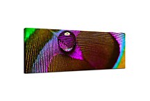 Obraz Panoráma Pávie oko zs18522