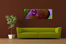 Obraz Panoráma Pávie oko zs18522