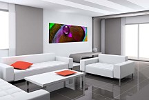 Obraz Panoráma Pávie oko zs18522