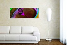 Obraz Panoráma Pávie oko zs18522