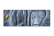 Obraz Kmeň s tvárou zs3271