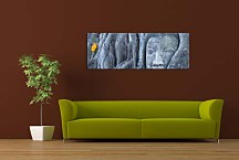 Obraz Kmeň s tvárou zs3271