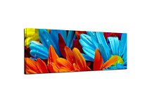 Panoráma Kvety Obrazy zs18572