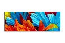 Panoráma Kvety Obrazy zs18572