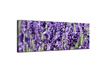 Obraz Panoráma Kvetov zs18564