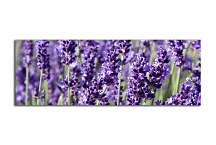 Obraz Panoráma Kvetov zs18564