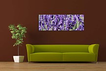 Obraz Panoráma Kvetov zs18564