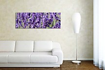 Obraz Panoráma Kvetov zs18564