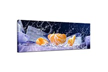 Obraz Mandarinka zs379