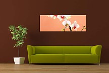 Orchidey Obrazy zs18516
