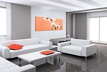 Orchidey Obrazy zs18516