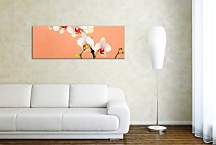 Orchidey Obrazy zs18516