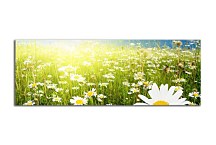 Obraz Panoráma Kvetov zs18510