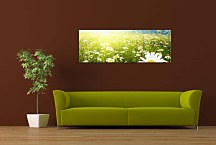 Obraz Panoráma Kvetov zs18510