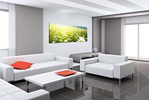 Obraz Panoráma Kvetov zs18510