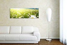 Obraz Panoráma Kvetov zs18510