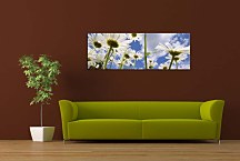 Obraz Panoráma Kvety zs88