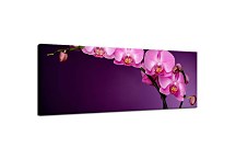 Panoráma Kvetov Obraz zs85