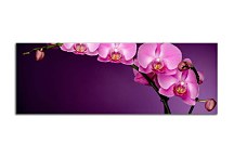 Panoráma Kvetov Obraz zs85