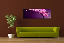 Panoráma Kvetov Obraz zs85