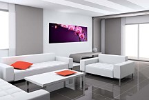 Panoráma Kvetov Obraz zs85