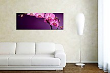 Panoráma Kvetov Obraz zs85