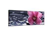 Obraz Panorámy Kvety zs3144