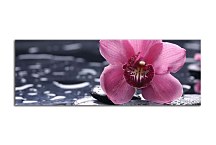 Obraz Panorámy Kvety zs3144