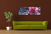 Obraz Panorámy Kvety zs3144