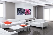 Obraz Panorámy Kvety zs3144