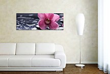 Obraz Panorámy Kvety zs3144