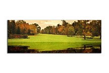Obrazy Panorámy Prírody  zs321