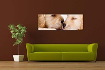 Obraz Psy zs3167
