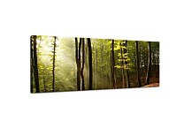 Stromy na Obraze zs178