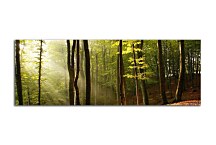 Stromy na Obraze zs178