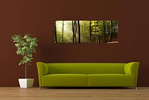 Stromy na Obraze zs178