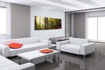 Stromy na Obraze zs178