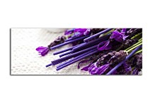 Panoráma Kvety Obrazy zs18586