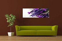 Panoráma Kvety Obrazy zs18586