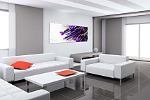 Panoráma Kvety Obrazy zs18586