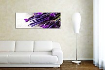 Panoráma Kvety Obrazy zs18586