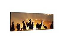 Obraz Panoráma Kengury  zs3195